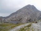 Near summit Bald Redhead.JPG